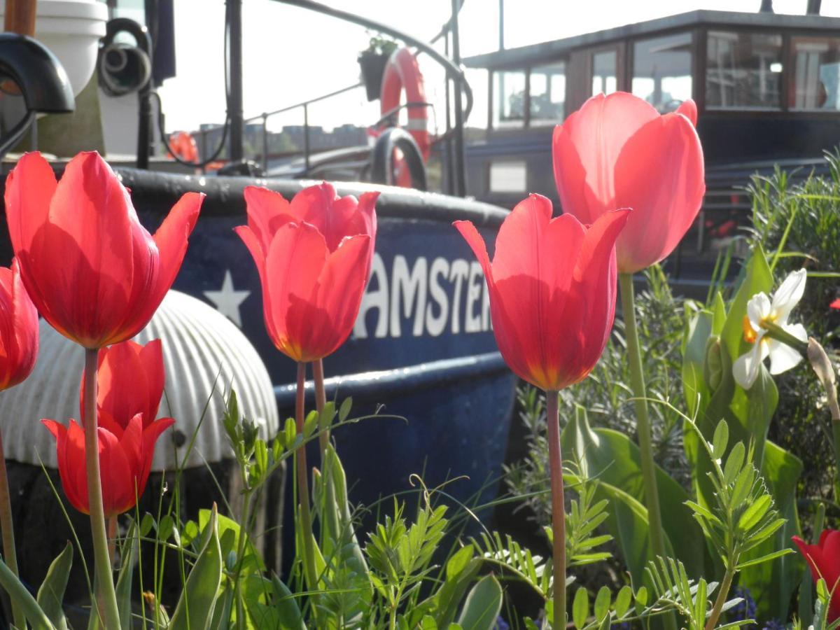 암스테르담 Boat & Breakfast Alhena B&B 외부 사진