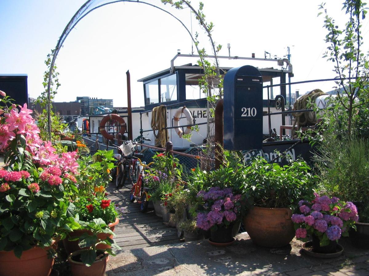 암스테르담 Boat & Breakfast Alhena B&B 외부 사진